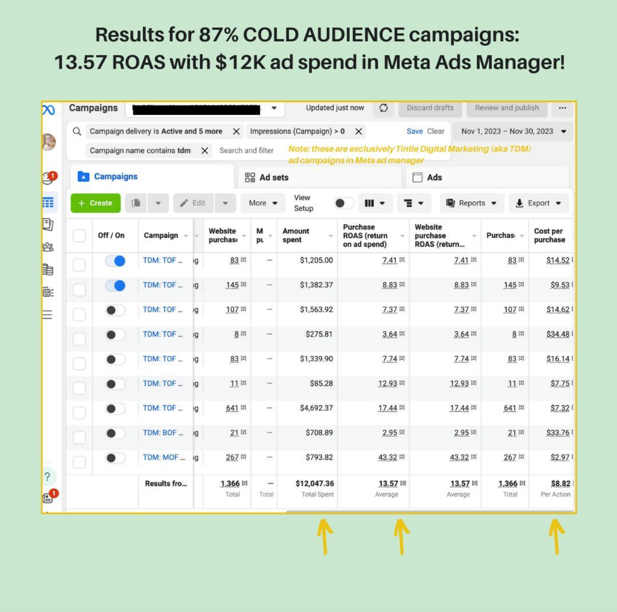 Meta Ads Management 1 Week Trial